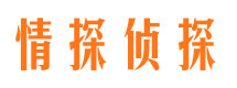 云岩市侦探调查公司